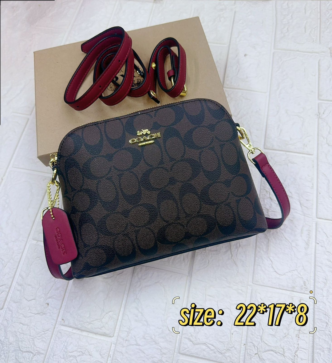 Coach crossbody bag in a trendy