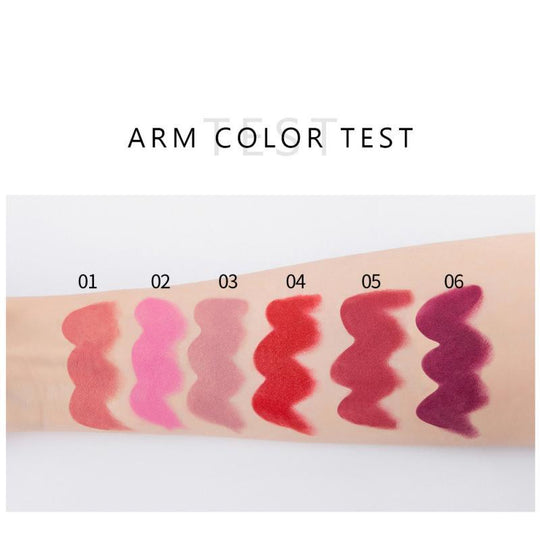 Long Lasting Waterproof Sweatproof Moisturizing Pencil Lipstick Pen Matte Lip Liner Gift Box Women Makeup Cosmetics TSLM1